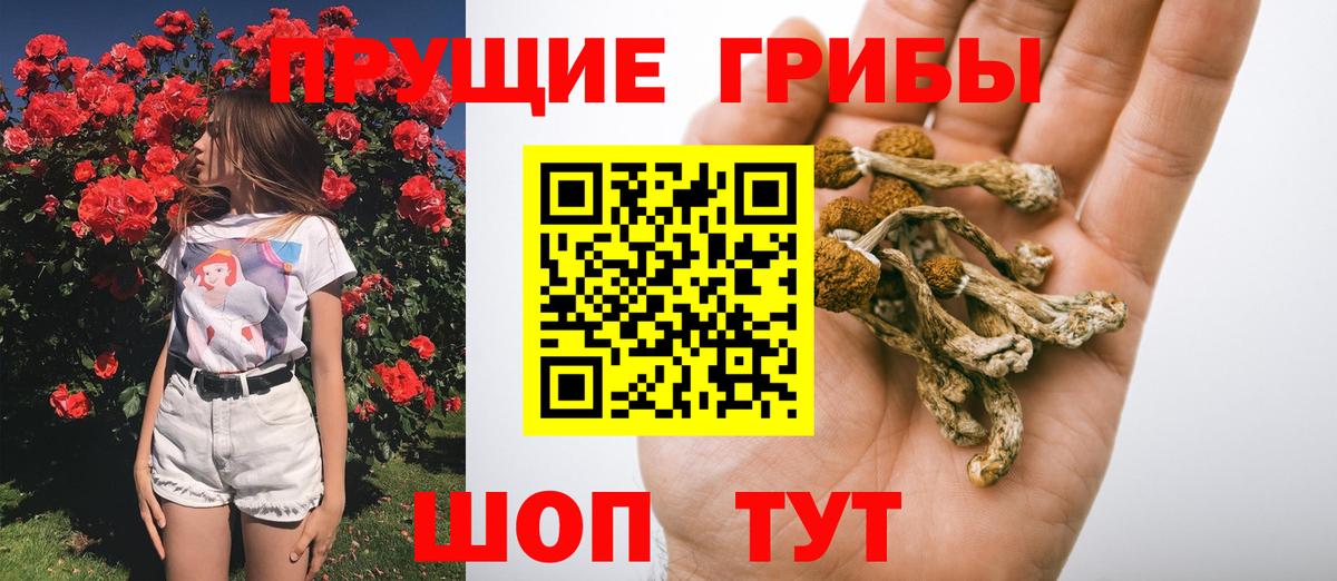 Касимов  Псилоцибиновые грибы мухоморы  Вход с VPN 